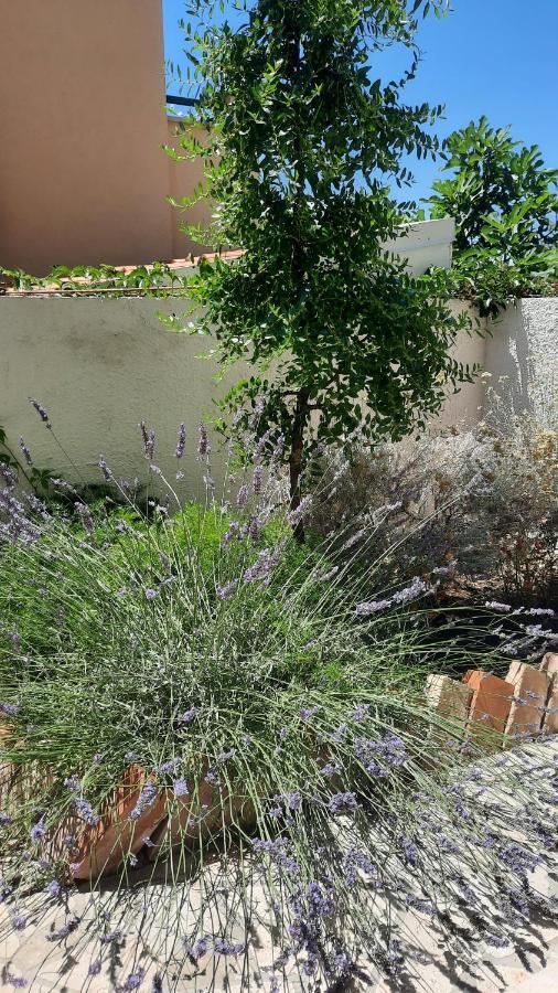 Apartment Miva Brela Zewnętrze zdjęcie